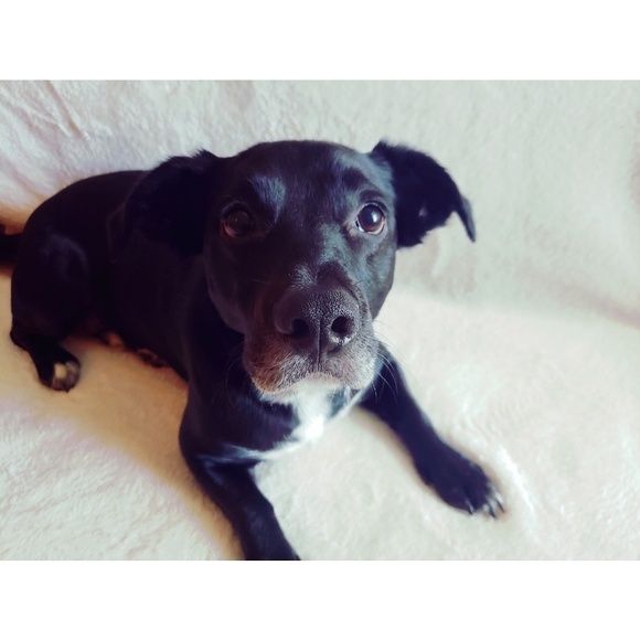 ๐ฆ - Picture 3 of 5